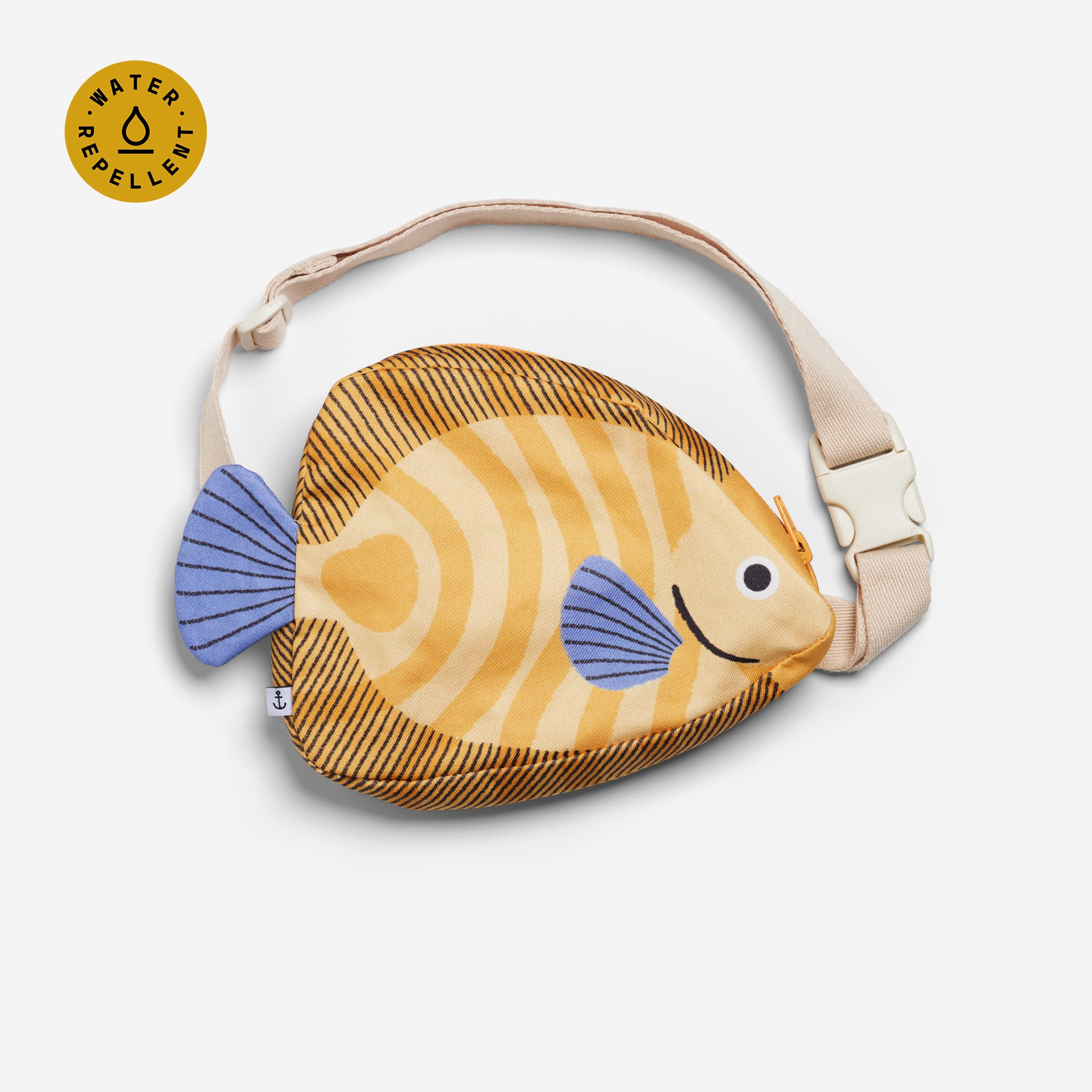 Angelfish (kid)