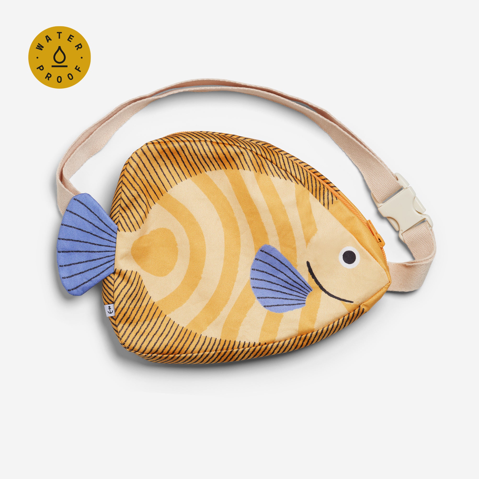 Angelfish (adult)