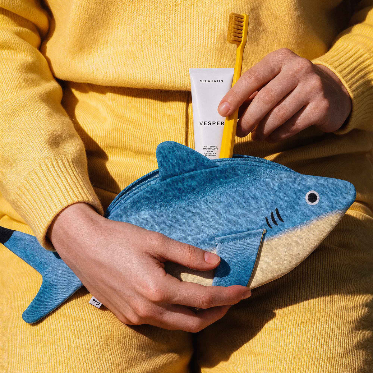 Little Shark
