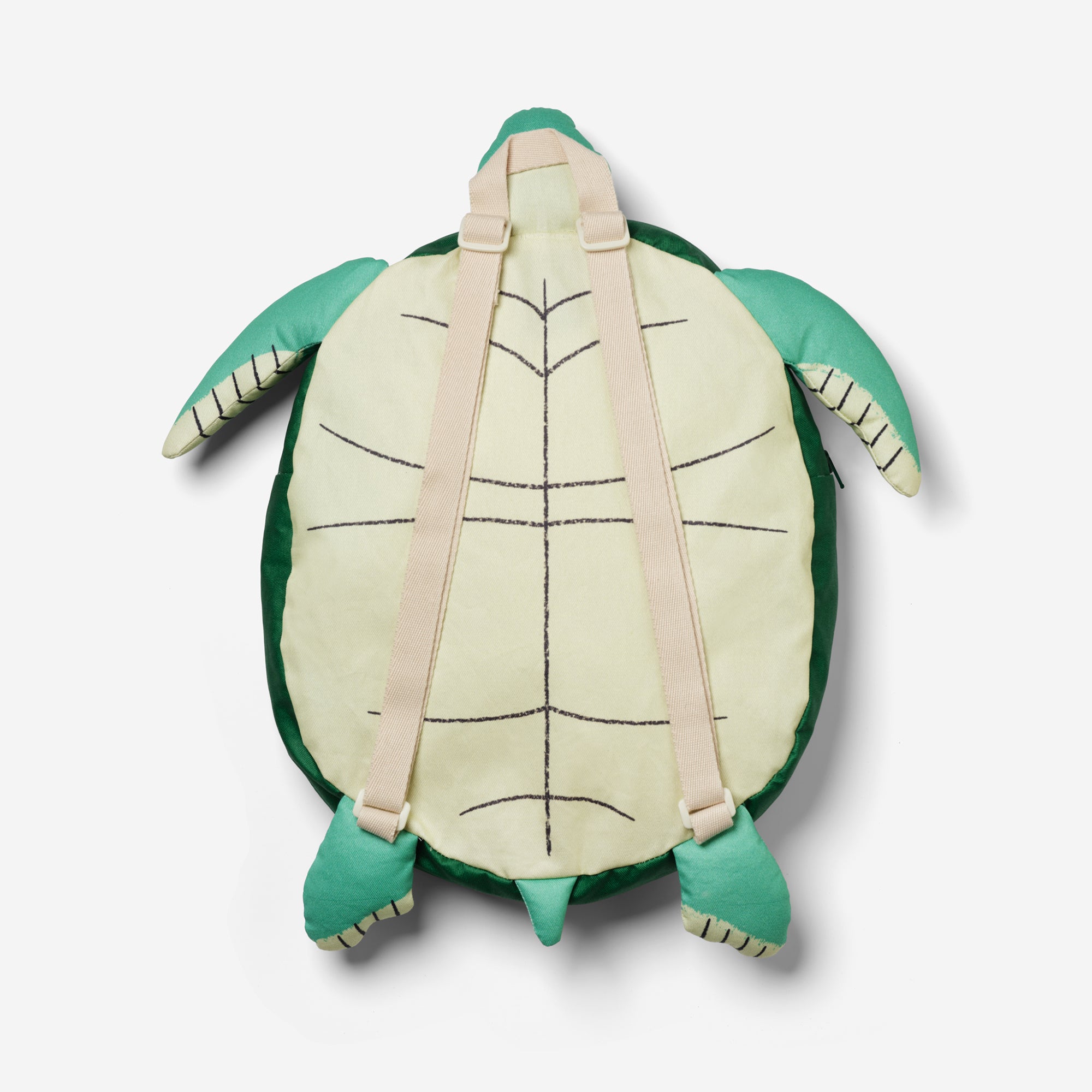Turtle (Kid)